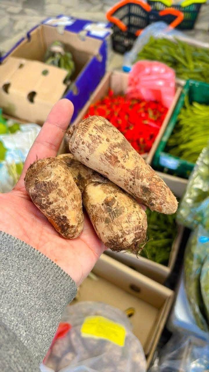 Fresh Taro