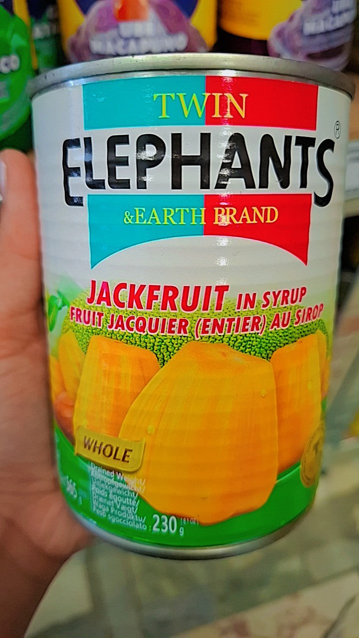 Twin Elephants Jackfruit in syrup 230g
