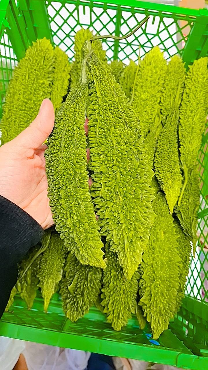 Fresh Bitter Melon
