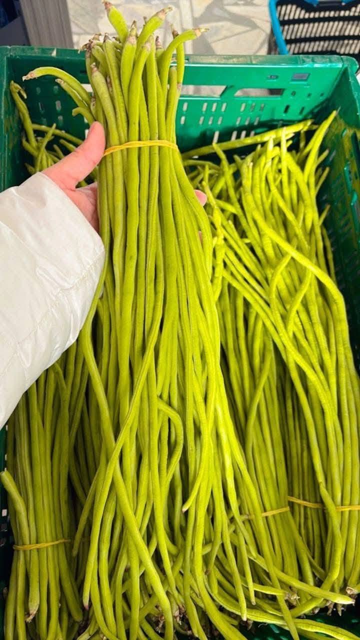 Fresh String Bean Bundle
