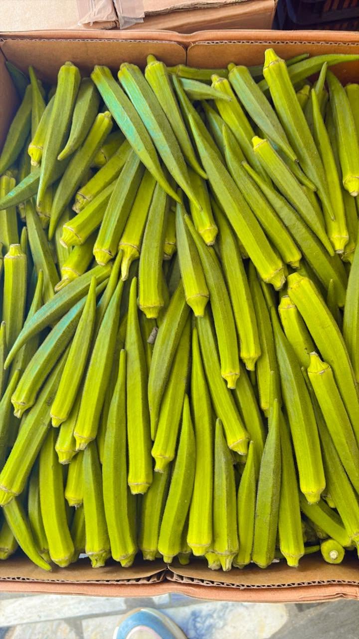 Fresh Okra