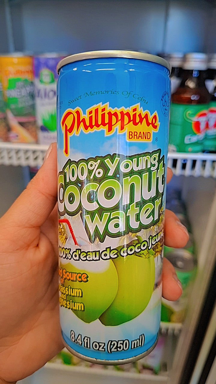 Philippine Brand Tropical Juice 250ml