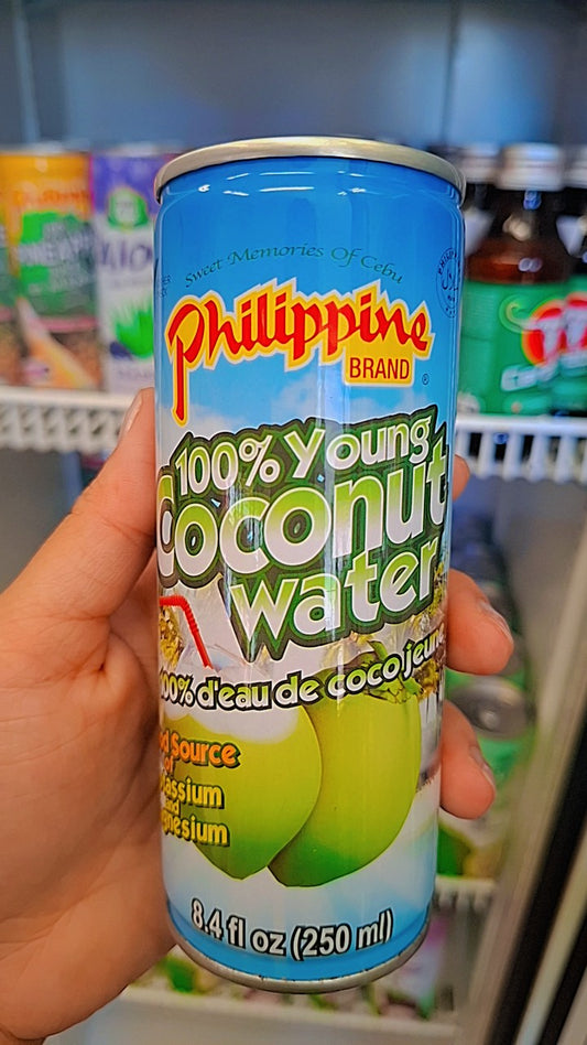 Philippine Brand Tropical Juice 250ml