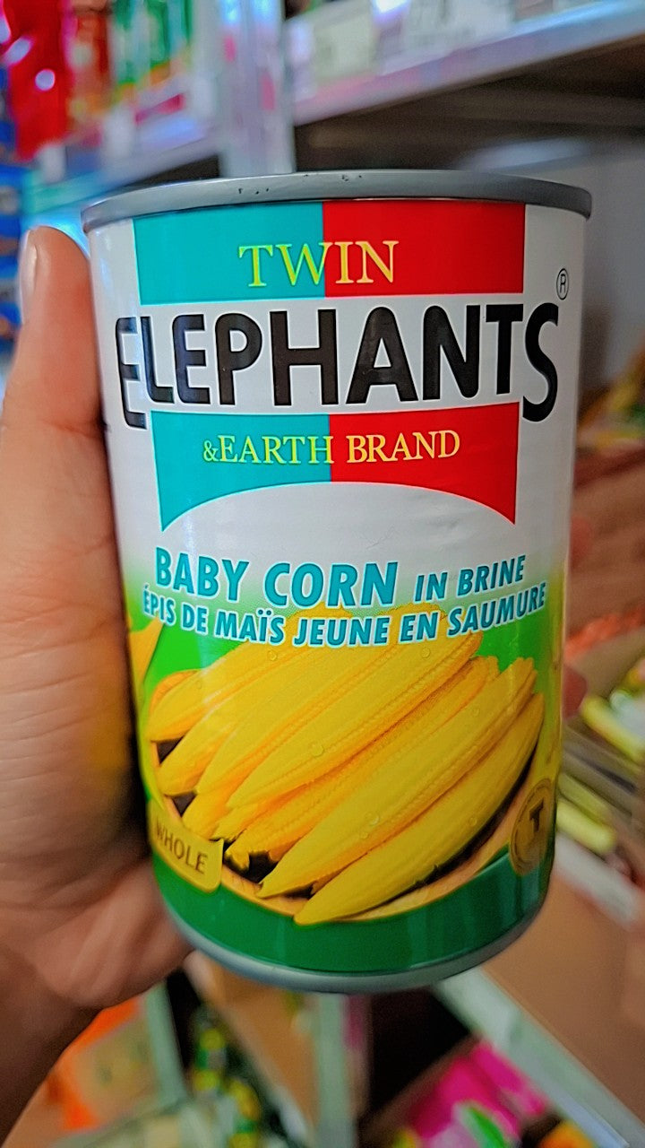 Twin Elephants Baby Corn 484g