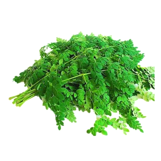 Fresh Moringa leaves Bundle
